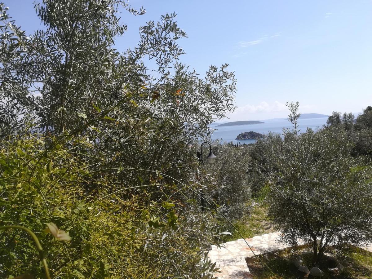 Stone House In Olive Grove Villa Tolo Exterior photo