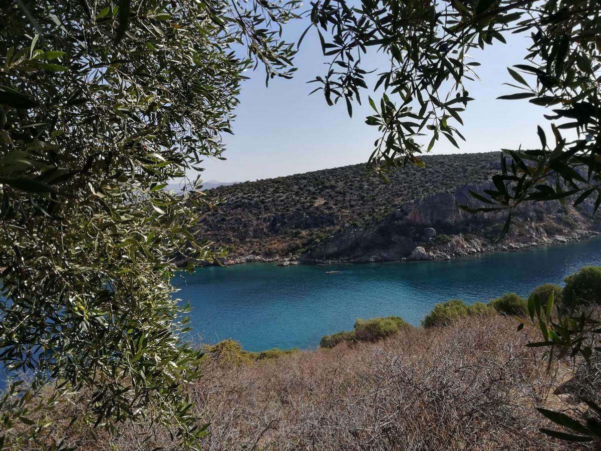 Stone House In Olive Grove Villa Tolo Exterior photo